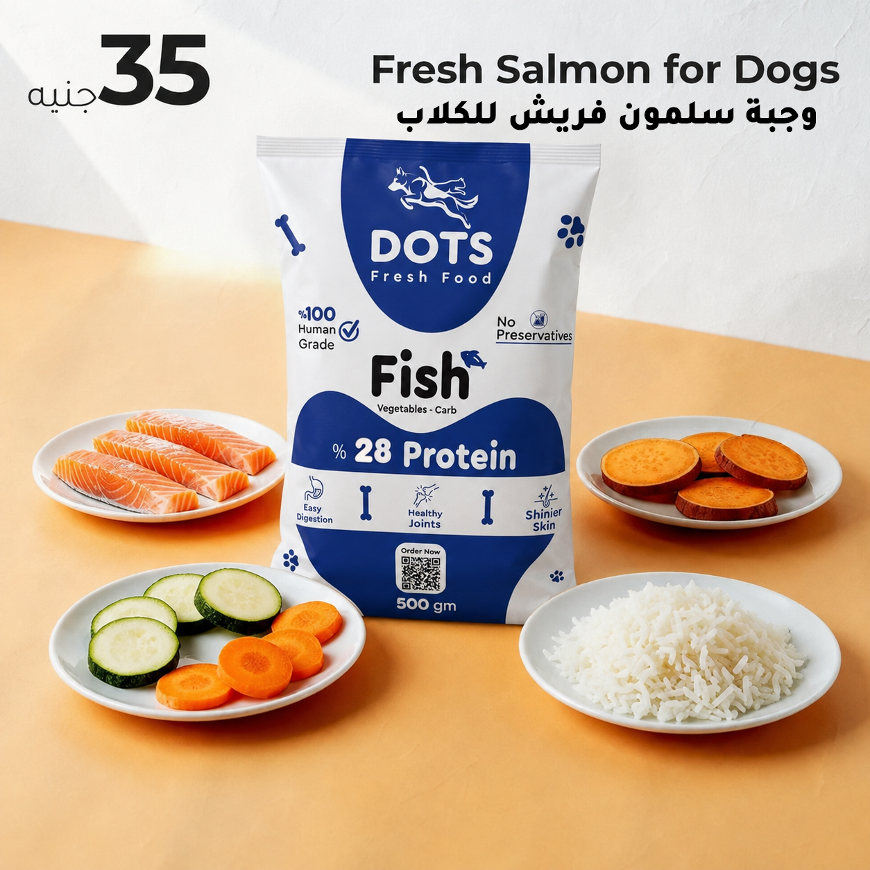 Fresh Salmon Fish Meal for Dogs