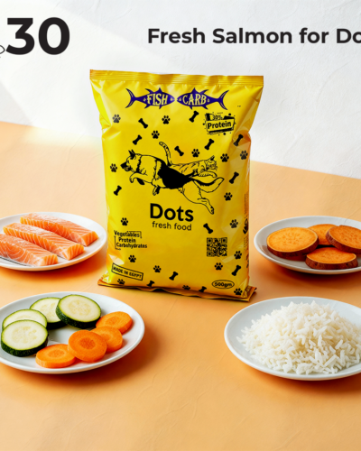 Fresh Fish Meal for Dogs