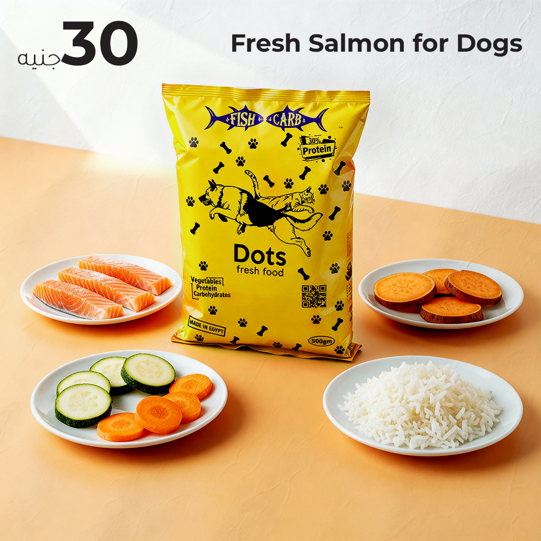 Fresh Fish Meal for Dogs