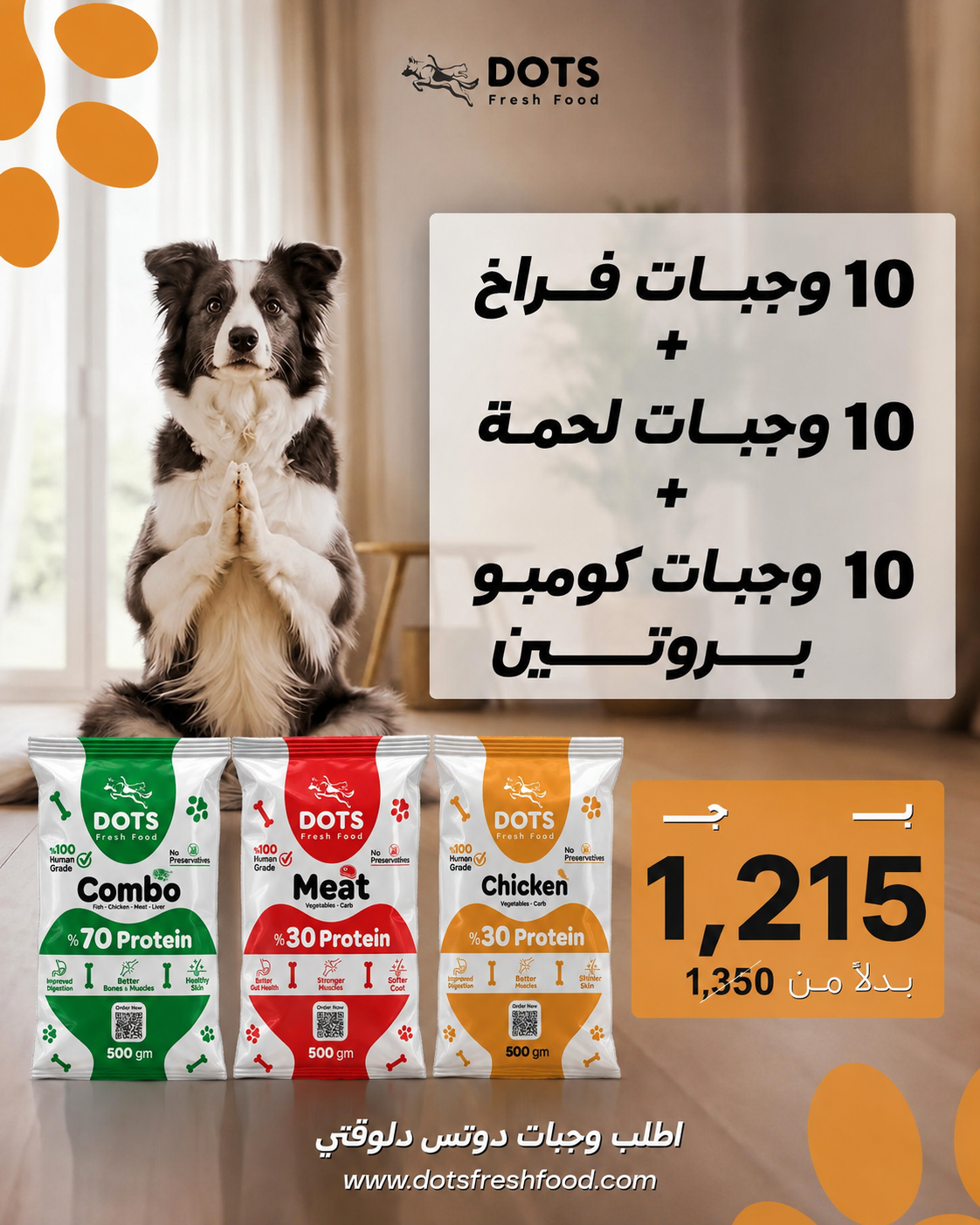 Cooked Fresh food for dogs