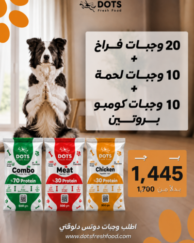 frozen cooked fresh food for dogs