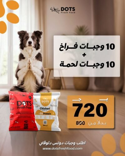 Chicken & Beef Bundle - 20 Fresh Meals for Dogs