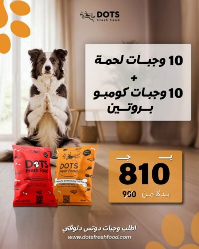 Beef & Combo Protein Bundle - 20 Fresh Meals for Dogs
