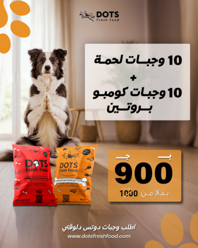 Beef & Combo Protein Bundle - 20 Fresh Meals for Dogs