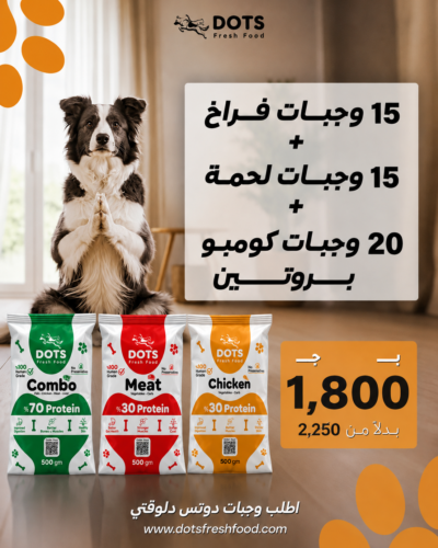 Fresh food for dogs