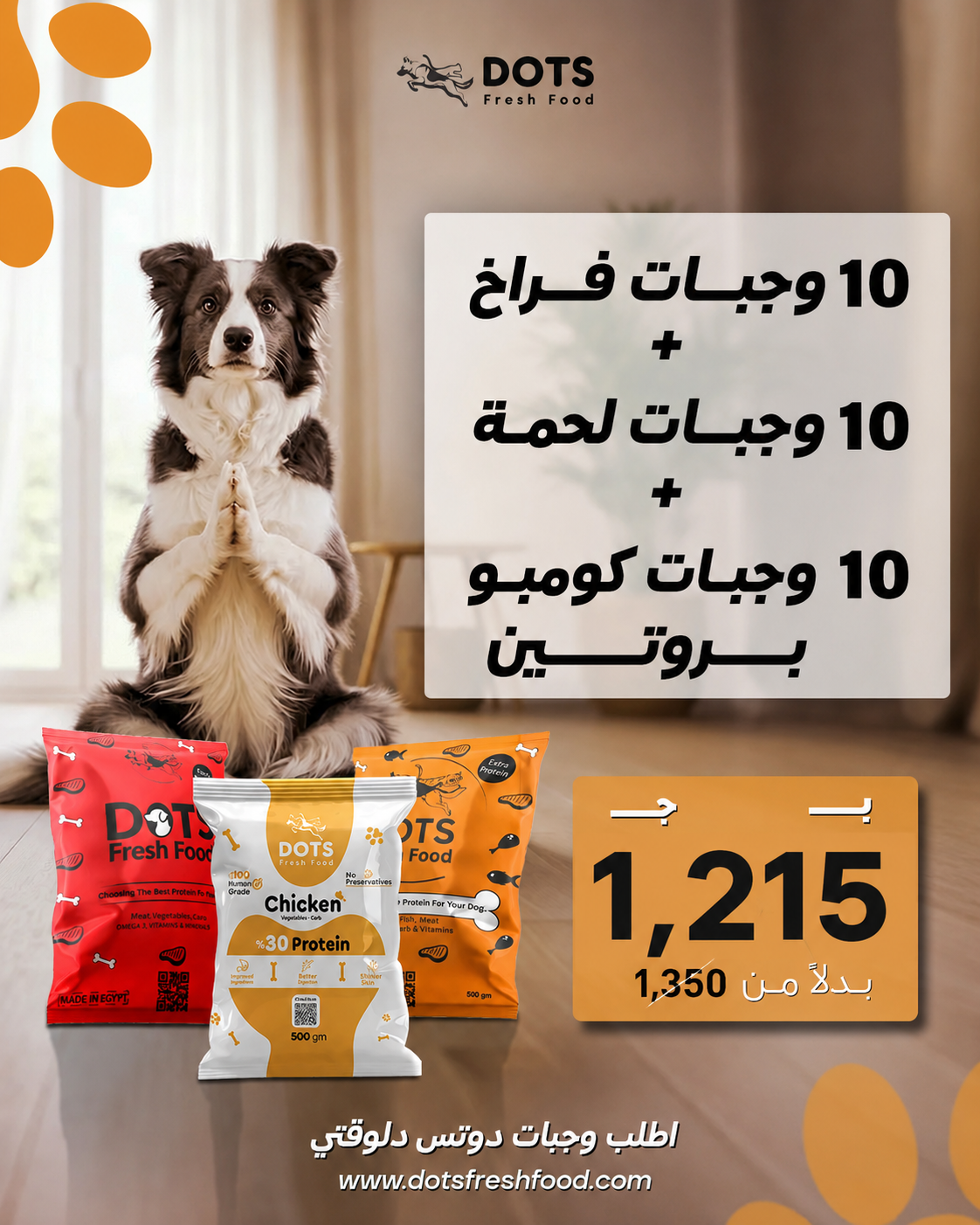 Mixed Protein Bundle - 30 Fresh Meals for Dogs