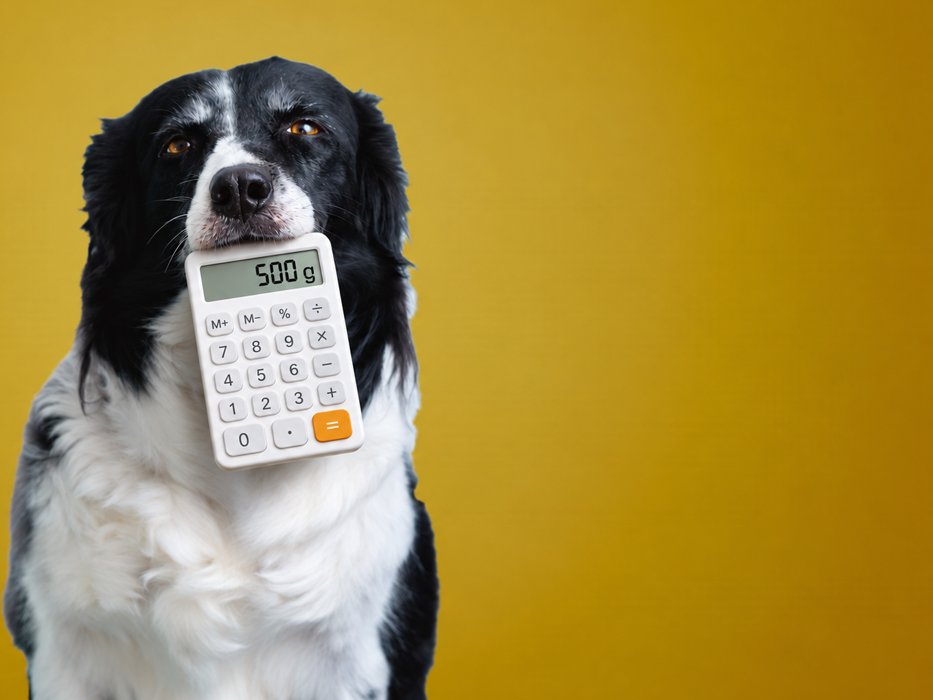 Fresh Food Calculator for dogs