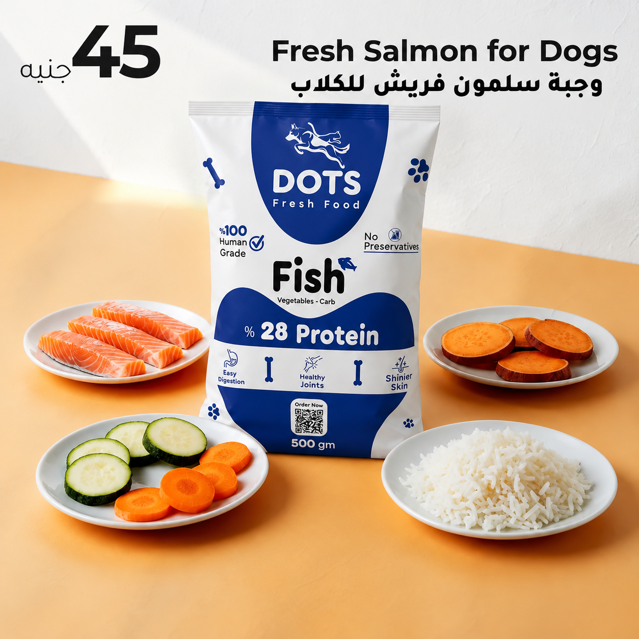 Fresh Salmon Fish Meal for Dogs